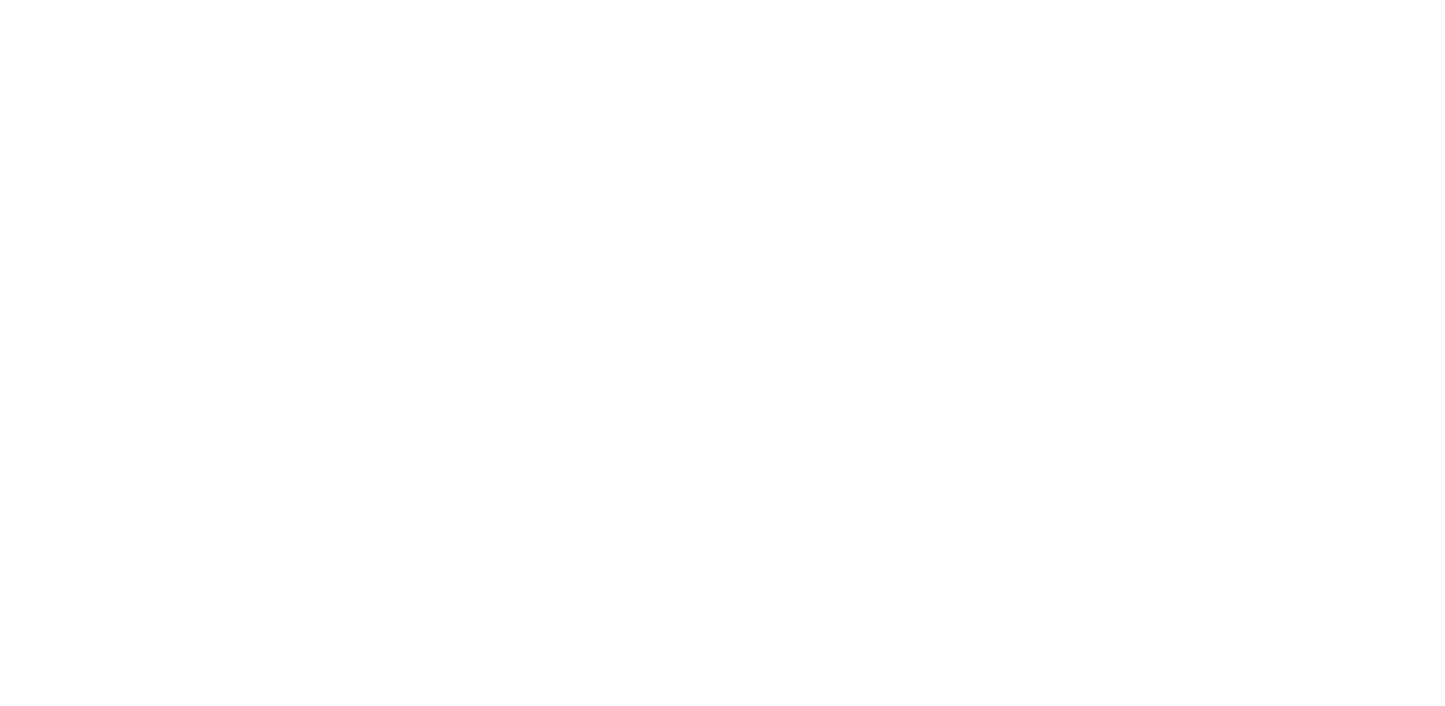 TheAranger™ Organizer For Closet Hanging Bars